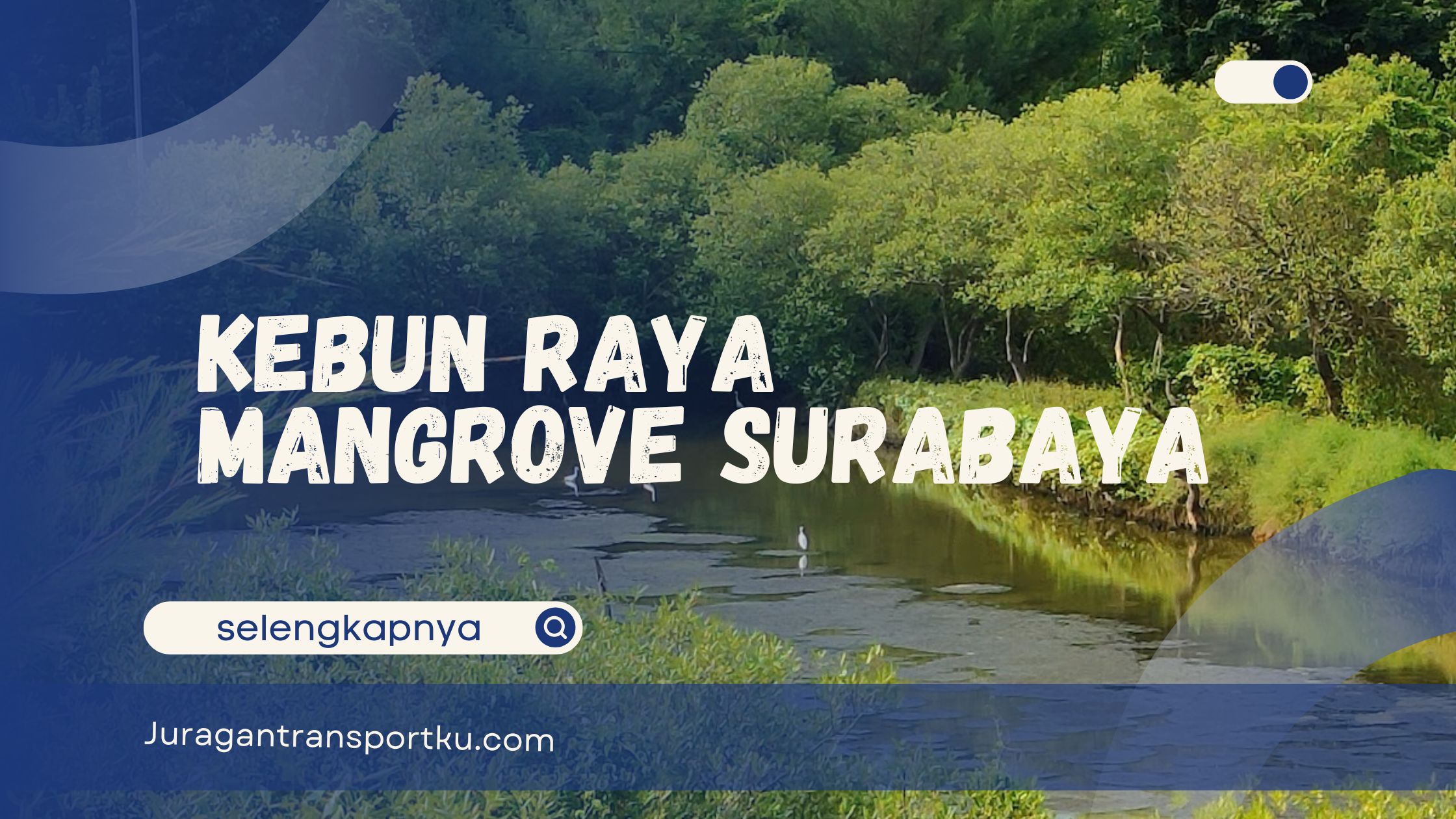 Kebun Raya Mangrove Surabaya