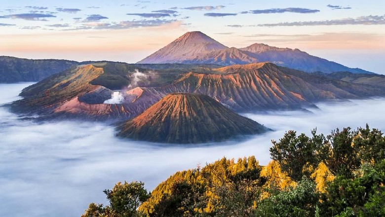wisata bromo