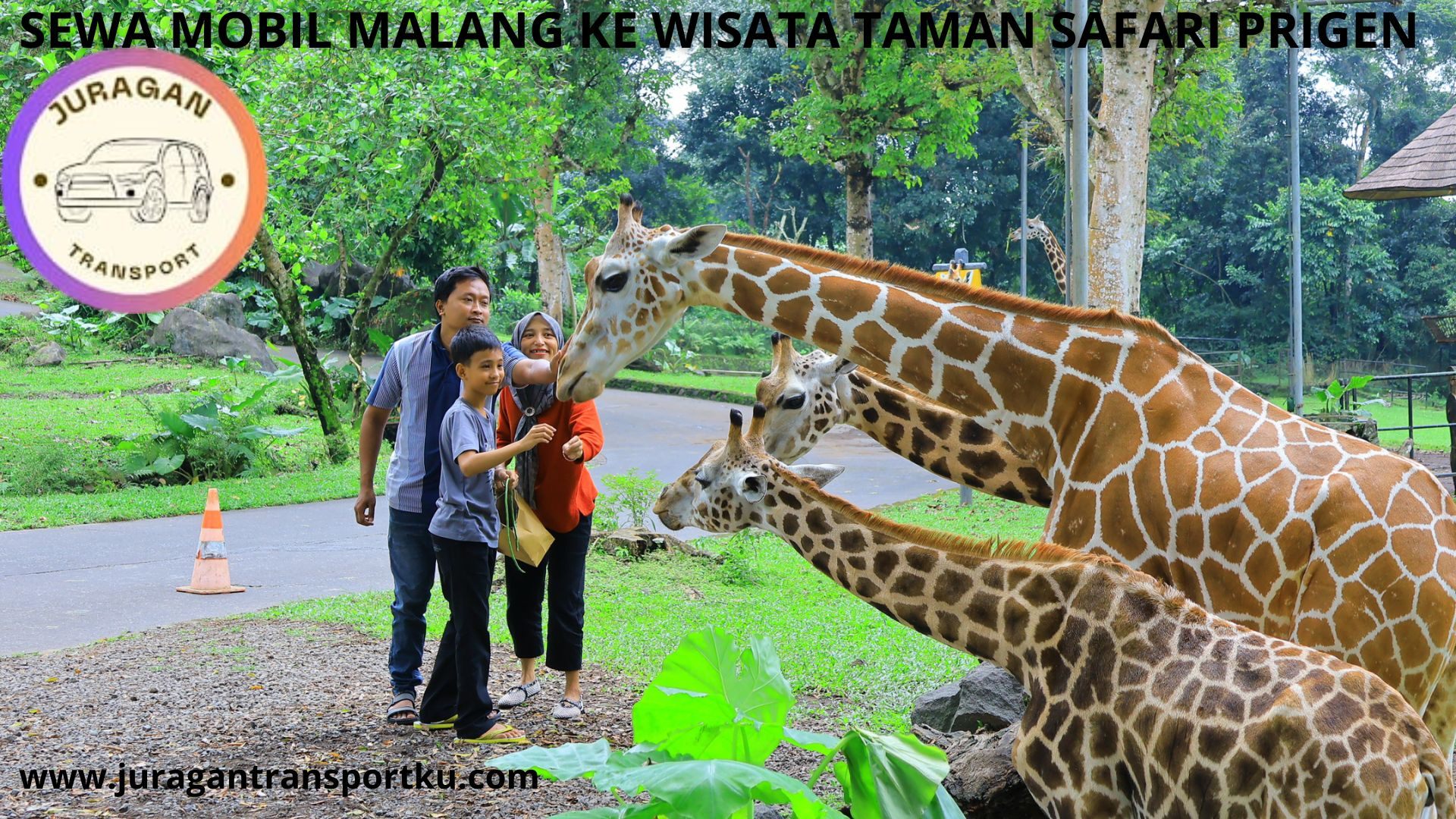 Sewa mobil malang ke wisata taman safari prigen