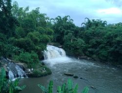 Coban Amprong Malang: Pesona Air Terjun Hening di Tengah Hutan Kota Apel