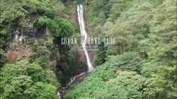Coban Parang Tejo Malang: Pesona Air Terjun Sunyi di Lereng Gunung