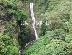 Coban Parang Tejo Malang: Pesona Air Terjun Sunyi di Lereng Gunung