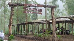 Hutan Pinus Coban Talun, Oase Sejuk di Lereng Batu yang Menenangkan Jiwa