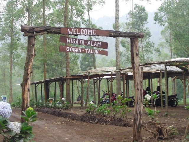 Hutan Pinus Coban Talun