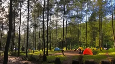 Wisata Hutan Pinus Bantur Malang, Oase Sejuk di Selatan Kota Apel