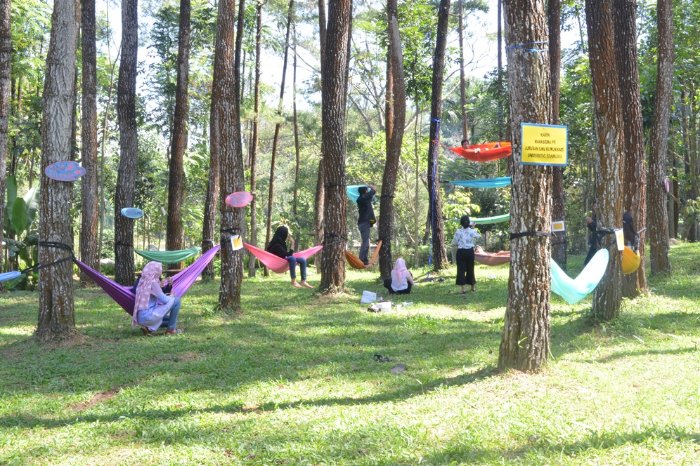 Hutan Pinus Candi Sumberawan