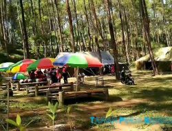 Taman Pinus Bendosari Pujon, Oase Sejuk di Tengah Alam yang Menenangkan