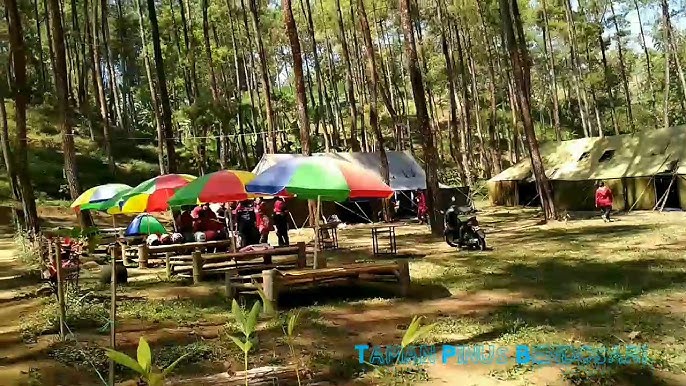 Taman Pinus Bendosari Pujon