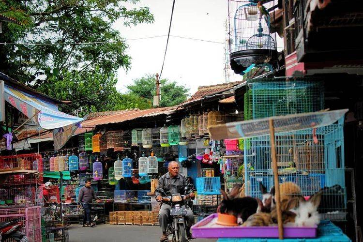 Pasar Splendid Malang Pasar Splendid Malang