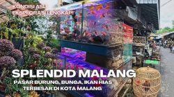 Pasar Splendid Malang, Denyut Kehidupan Kota di Tengah Aroma Bunga