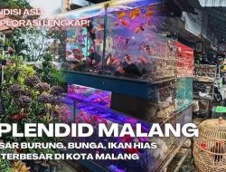 Pasar Splendid Malang, Denyut Kehidupan Kota di Tengah Aroma Bunga