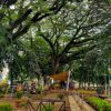 Taman Trunojoyo Kota Malang Jawa Timur, Ruang Hijau Ikonik di Jantung Kota
