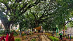 Taman Trunojoyo Kota Malang Jawa Timur, Ruang Hijau Ikonik di Jantung Kota