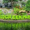 Eco Green Park Malang, Wisata Edukasi Lingkungan yang Seru dan Inspiratif