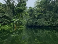 Telaga Ranu Darungan, Sunyi yang Menyimpan Cerita Alam