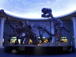 Museum Satwa Malang, Wisata Edukasi yang Membuka Mata tentang Dunia Fauna