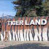 Tiger Land Malang, Sensasi Wisata Satwa dan Edukasi di Jantung Jawa Timur