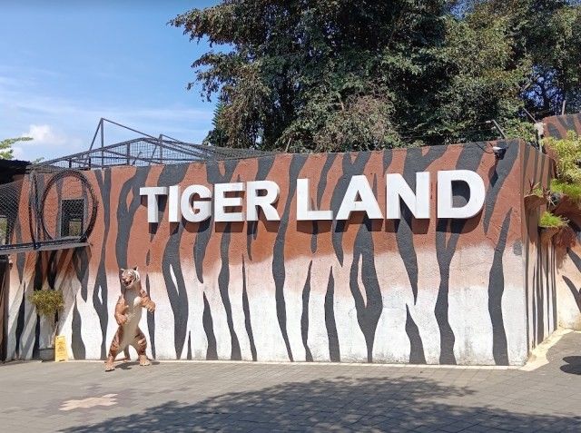 Tiger Land Malang