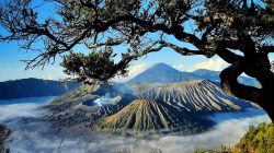 Tempat Wisata di Gunung Bromo