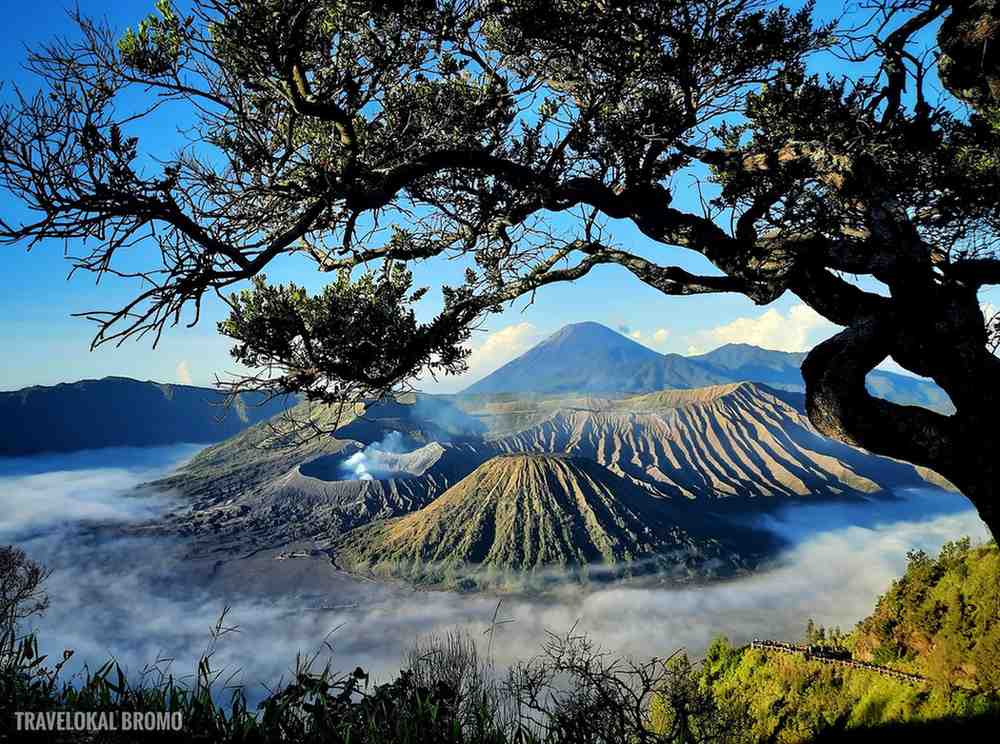 Tempat Wisata di Gunung Bromo
