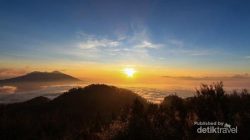 Gunung Butak Malang: Pesona Negeri di Atas Awan yang Menenangkan Jiwa