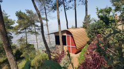 Omah Kayu Batu Malang, Sensasi Menginap di Rumah Pohon dengan Panorama Pegunungan