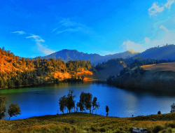 Wisata Alam Berkabut yang Instagramable, Pesona Sunyi yang Memikat Lensa