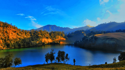 Wisata Alam Berkabut yang Instagramable