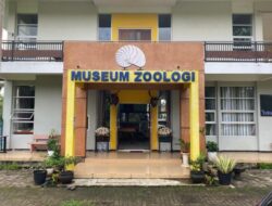 Museum Zoologi Frater Vianney, Hidden Gem yang Bikin Kamu Melihat Dunia Satwa dari Sudut Baru