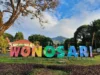 Wonosari Agro Tourism, Menyusuri Jejak Kopi di Lereng Malang yang Menenangkan Jiwa