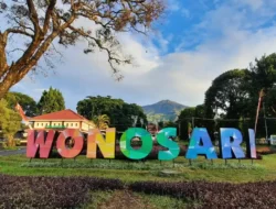 Wonosari Agro Tourism, Menyusuri Jejak Kopi di Lereng Malang yang Menenangkan Jiwa